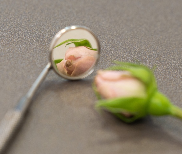 ատամնաքարերի մաքրում